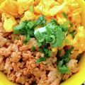 クックUS9VGU☆'s cooksnap of when they made 超カンタン夏休みランチはそぼろ丼.