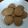 クックyobo67's cooksnap of when they made サックリホロホロ ミスカルクッキー.