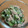 クック2R889N☆'s cooksnap of when they made きゅうりとオクラのツナマヨ和え.