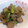 なつきばぁば's cooksnap of when they made ししとうの★ちりめんじゃこ炒め★.