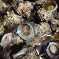 蘭デブー's cooksnap of when they made 食べやすい！！サザエの甘辛煮.