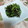 クックATFBMZ☆'s cooksnap of when they made しその実の塩昆布和え.