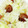 クックSV4QXZ☆'s cooksnap of when they made 甘栗さつま芋炊き込みご飯♪簡単脾腎食養生.