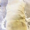 majyu1011's cooksnap of when they made ♡モチモチ美味しい！手作り餃子の皮♡.