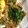 クック2H9MD0☆'s cooksnap of when they made 油揚げのだし炒め.