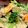 きょろなんど's cooksnap of when they made 豚肉と野菜の味噌クリーム煮.