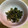 ☆☆☆すいか☆☆☆'s cooksnap of when they made 紫蘇の実のふりかけ.