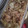 もりのりころ's cooksnap of when they made 簡単！鶏野菜のかんたん黒酢炒め.