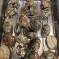 ちびこねこ＊'s cooksnap of when they made ★あさりの砂抜き方法★.