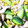 クック6HQII1☆'s cooksnap of when they made 旨み溢れるきのこの塩こうじバターソテー.