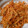 Tarara♪♪'s cooksnap of when they made お二人さんの☆にんじんとツナ炒め！.