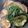 クックSEESE4☆'s cooksnap of when they made 米茄子のバターニンニク醤油ステーキ.