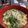 Kuma0922's cooksnap of when they made 【アッサリ味】ニラ卵きのこ♪うどん.