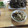 tadtake's cooksnap of when they made まいたけと塩昆布の炊き込みご飯.