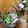 プルンバゴ's cooksnap of when they made 超簡単！あえるだけ酢の物.