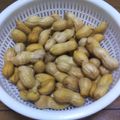 クック5SUV5S☆'s cooksnap of when they made 生落花生(ピーナッツ)の茹でかた.