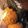 クックQ1UMSY☆'s cooksnap of when they made ねり胡麻でオートミールクッキー.
