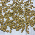 クック1V68KQ☆'s cooksnap of when they made かぼちゃの種を簡単に洗う方法.