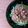 hiroerico's cooksnap of when they made 納豆豆苗しらす丼.