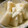 ベティ３'s cooksnap of when they made 梨ヨーグルト.