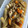 kusatarou's cooksnap of when they made 鶏ごぼうの煮もの(ほぼ初心者用).