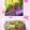 ゆけり３兄弟's cooksnap of when they made 炒りごま入り卵焼き.
