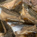クックH9G0WQ☆'s cooksnap of when they made 本カワハギの煮付け.