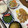 ぐりtoぐら's cooksnap of when they made 焼き肉のたれで、炒め物！.