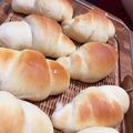 lady0884's cooksnap of when they made 分かりやすく！完全攻略手作りロールパン♪.