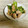 さくらん餅's cooksnap of when they made 白子の煮付け.