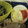 あゆたっくん's cooksnap of when they made 【簡単】ピザ風ゆで卵【お弁当に】.