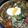 花ひとひら's cooksnap of when they made 熟成カレーうどん.