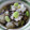 るりご's cooksnap of when they made えだまめ茶漬け.