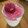 *りまりま*'s cooksnap of when they made 巨峰のヨーグルトムース.