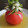 ブチュチュンパ's cooksnap of when they made トマトの丸ごとだしびたし.