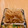 もんしゅしゅ's cooksnap of when they made 玉ねぎの胡麻和え.