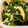 ma2kaboch's cooksnap of when they made 簡単和えるだけ!ワカメの中華サラダ.