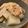 Kei-ko's cooksnap of when they made ☆簡単☆鳥手羽先の塩レモン煮.