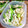 ＴＯＭＯＷＡＴ's cooksnap of when they made 塩山椒きんぴら*お弁当*作り置きに.