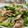 toshio39's cooksnap of when they made 簡単◎豚肉とピーマンのバターしょうゆ炒め.