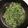 クックZFKRE9☆'s cooksnap of when they made 間引き大根の炒め物.