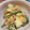 ゆいころままこ's cooksnap of when they made 【作り置き】ピーマンとえのきの中華炒め.