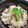 あぐり食堂。's cooksnap of when they made 本当に美味しい 〜松茸ご飯〜.
