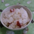 赤い電話's cooksnap of when they made 超カンタン！さっぱり梅ごはん.