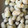 taiyaki05's cooksnap of when they made 冷凍枝豆の、豆そのまんまからあげ。.