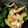 kkll0000's cooksnap of when they made ツナと玉ねぎの冷奴♪豆腐にはこれ！.