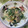 Heyahiro's cooksnap of when they made 鮭とほうれん草のクリーム煮.