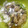 さわこコック's cooksnap of when they made 白身魚と野菜のマリネ風♪.