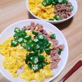 kaiselim's cooksnap of when they made そぼろご飯.