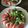 Yokchina's cooksnap of when they made 無花果・ぶどう・木の実の秋のサラダ.